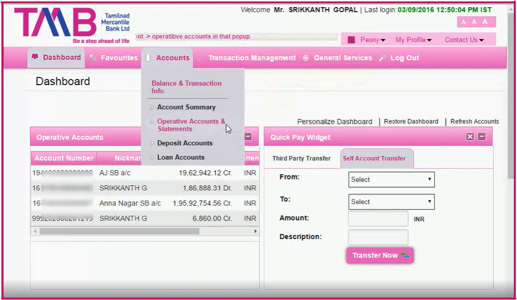 View Account Statement
